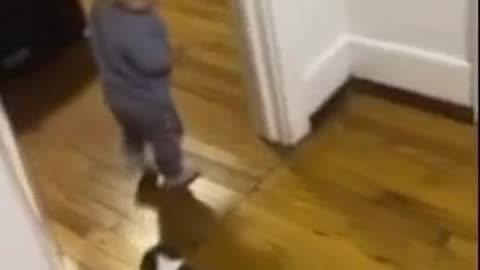 Baby has adorable reaction to new puppy addition