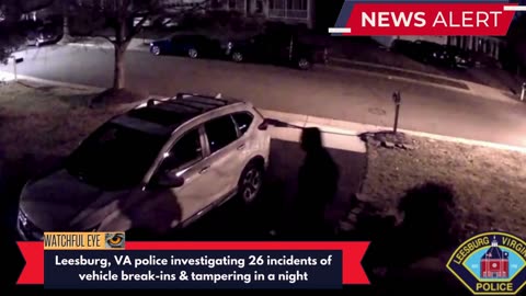Leesburg PD release video of suspects amid string of vehicle break-ins