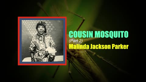 Congresswoman Malinda Jackson Parker Cousin Mosquito (Part 2) 🇱🇷🇱🇷 #liberia #africa #mosquito