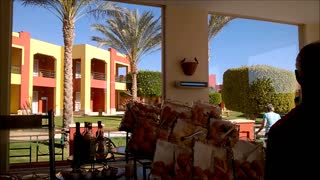 Wild birds enjoy 5-star hotel buffet in Egypt