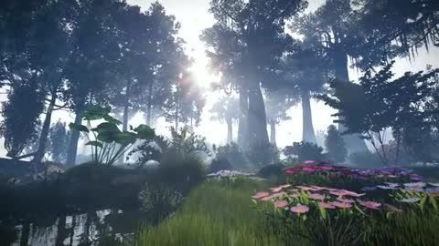 Forest_animation_