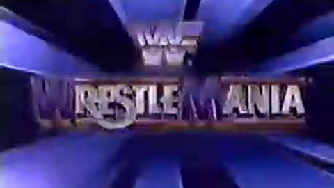 WWF Wrestling Challenge - Mar 24 1991