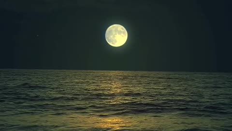 Full Moon | Peaceful Night | Nature Beauty