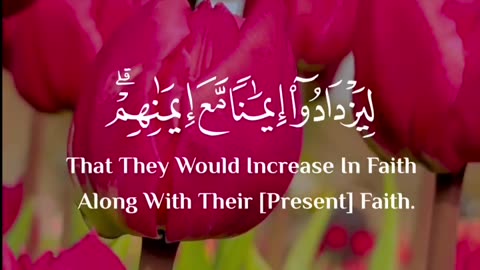 Quran Talawat Video