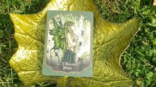 Faery Blessing Card # 16 A Blessing Of Elflocks - Amy Brown Artwork Fairy Elemental Beings - Fairies