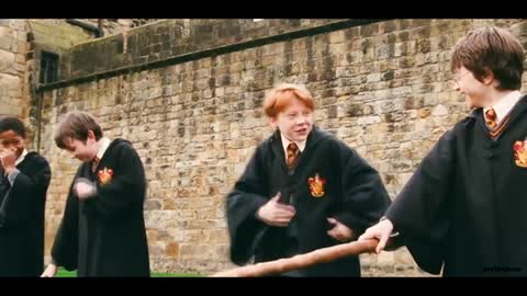 Ron Weasley Ex's and Oh's