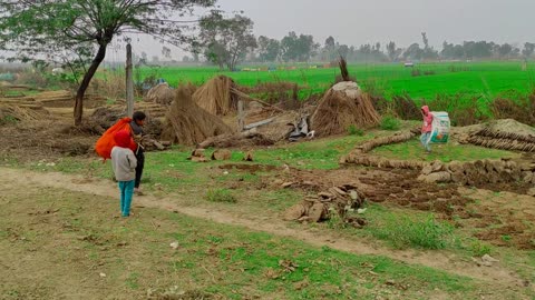 Rural Life In India Uttar Pradesh | Natural Life Style In India UP | Daily routine in India