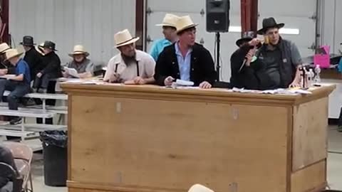 11 yr old auctioneers at Middlefield Ohio standardbred driving horse sale. May 28 2022