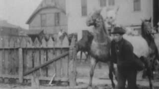 Buffalo Stockyards (1897 Original Black & White Film)