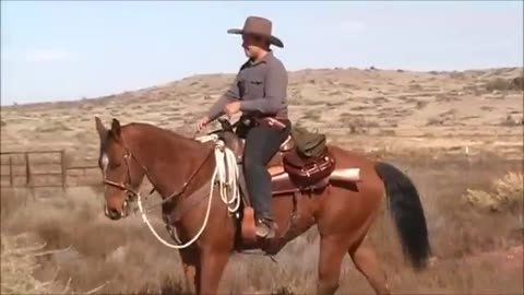 Horse Riding & Training