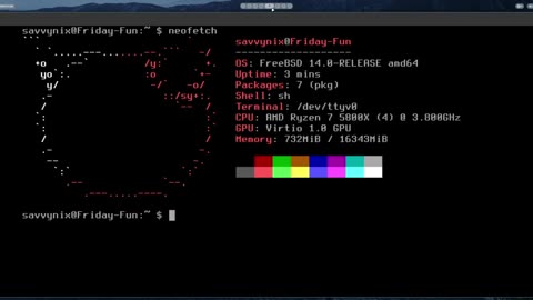 Friday Fun Shorts: FreeBSD 14.0 neofetch