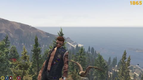 can you fly? - Grand Theft Auto V