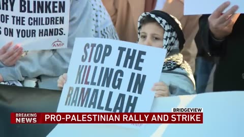 Chicagoland businesses, schools strike to call attention to thousands of Palestinian deaths