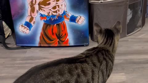 Cat Scared of Goku