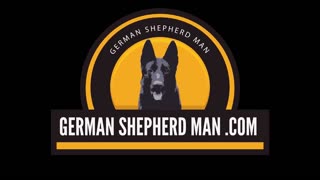 Female Dominance in German Shepherds with GSM