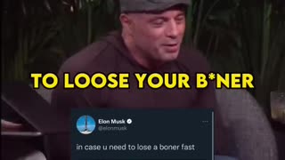 Joe Rogan on elon musk