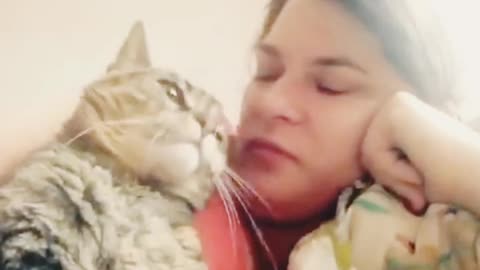 Cat's love with owner