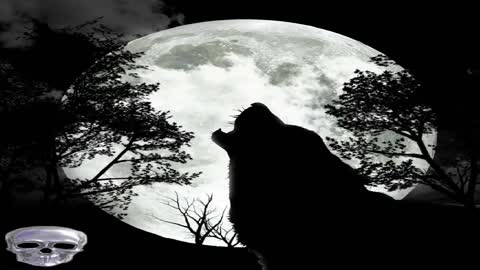 howling wolf