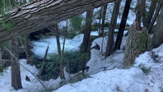 River Flowing Beside Icy Mountain Trail – Mount Hood – Oregon – 4K
