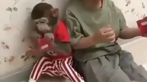 Children and monkeys