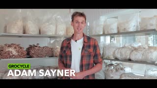 Meet These Urban Mushroom Growers | GroCycle