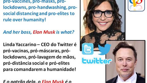 CEO do Twitter vs Elon Musk