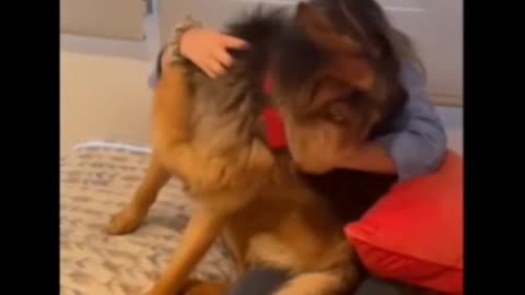 DOG ECSTATIC TO BE REUNITED WITH A LONG LOST FRIEND~SUCH LOYALTY AND FRIENDSHIP