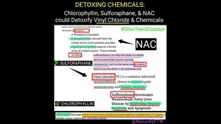 Detoxing Chemicals