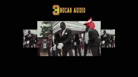 meme do caixão versão forró 3bocas audio