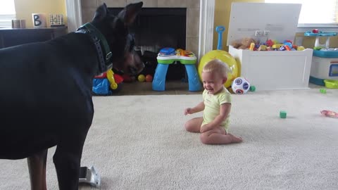 Dog Playing with baby , so adorable ! Funny Baby Video 7