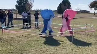 Crazy gender reveal party includes 'Baby Shark' boxing match