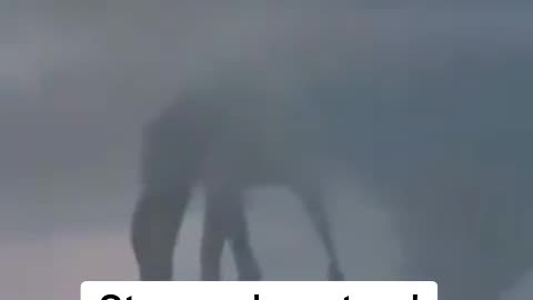 Strange 'Creature' And Tornado Spotted In Anapa, Russia