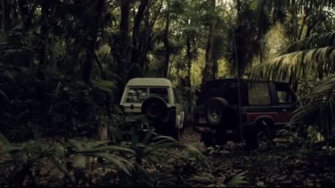 DEPREDADOR EN SELVA DE DARIÉN - PANAMÁ