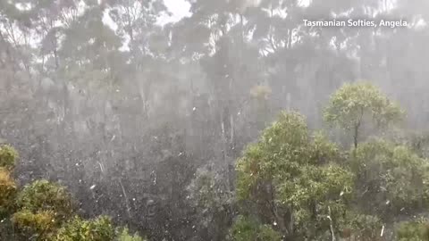 Tasmania's Hobart sees snow right before summer