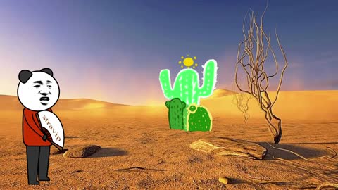 How animals and plants survive in the desert