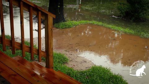 Homestead Flood - Daily - 20240504