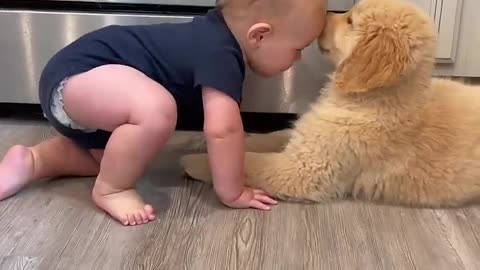 Baby Plays with Puppy!