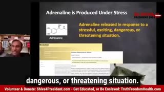 Adrenochrome chemistry behind