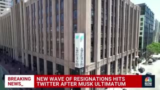 New Wave Of Resignations Hit Twitter After Musk's Ultimatum For Employees