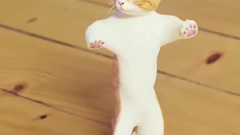 Dancing cat