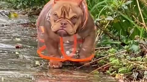 GRUMPY GAL WITH HIS RAIN COAT.mp4