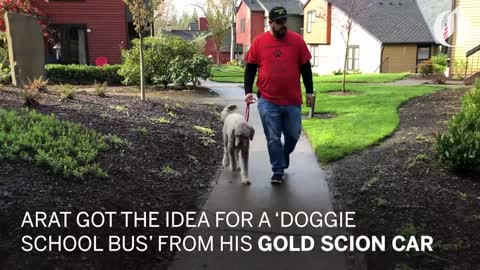 Doggie School Bus picks up pups for 'school'