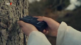 Ein Baum - empfängt und sendet Funksignale