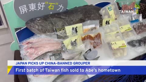 Japan To Import Taiwan Grouper Banned by China | TaiwanPlus News