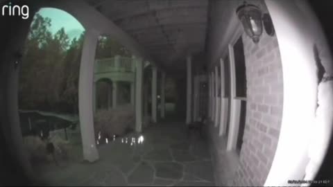 Orbs Caught On Ring Camera