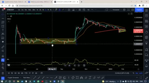 shiba coin news and price prediction for 5 years