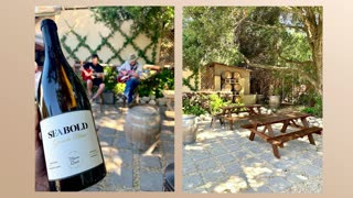 Carmel valley wineries