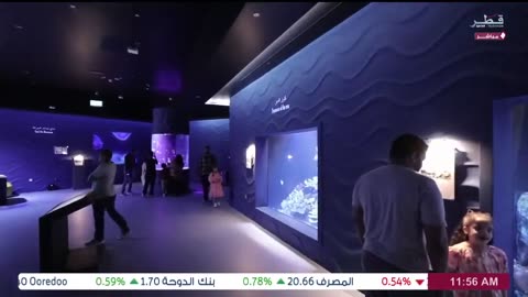 تلفزيون قطر - تقرير عن المتحف البحري بمركز زوار ميناء حمد