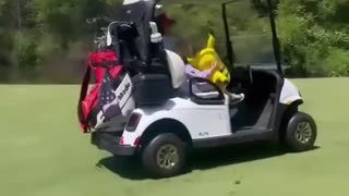 Lara Trump- Just your average Saturday golfing with Grandpa and Pikachu ☺️⛳️