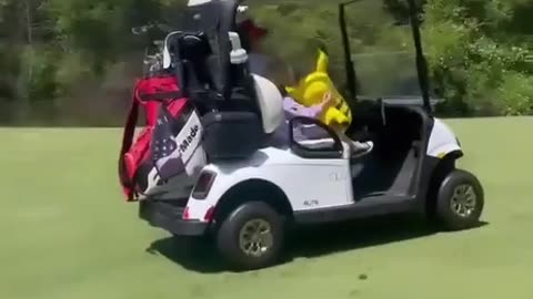 Lara Trump- Just your average Saturday golfing with Grandpa and Pikachu ☺️⛳️